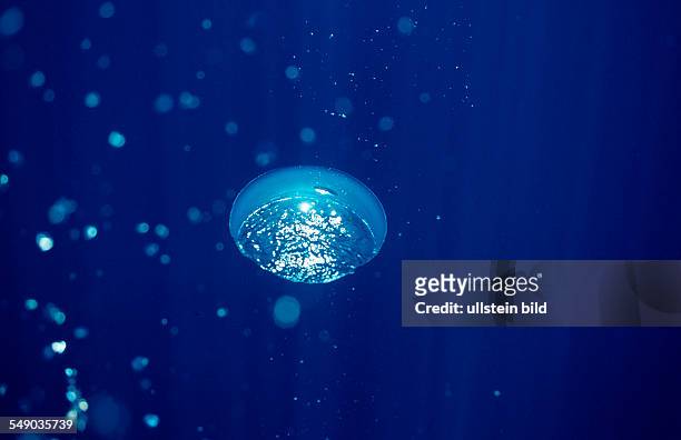Air bubbles rising underwater, Mexico, Sea of Cortez, Baja California, La Paz