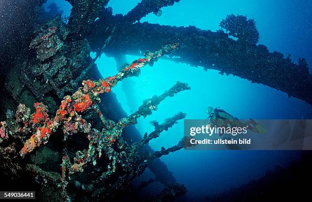 Scuba diver diving on Umbria shipwreck, Sudan, Africa, Red Sea, Wingate Reef