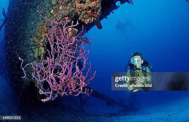 Scuba diver on the Hilma Hooker Ship Wreck, Netherlands Antilles, Bonaire, Caribbean Sea