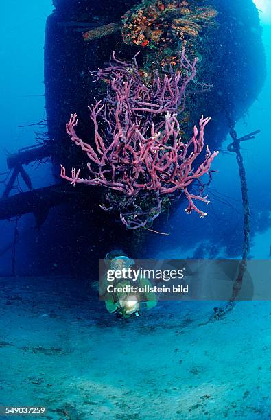 Scuba diver on the Hilma Hooker Ship Wreck, Netherlands Antilles, Bonaire, Caribbean Sea