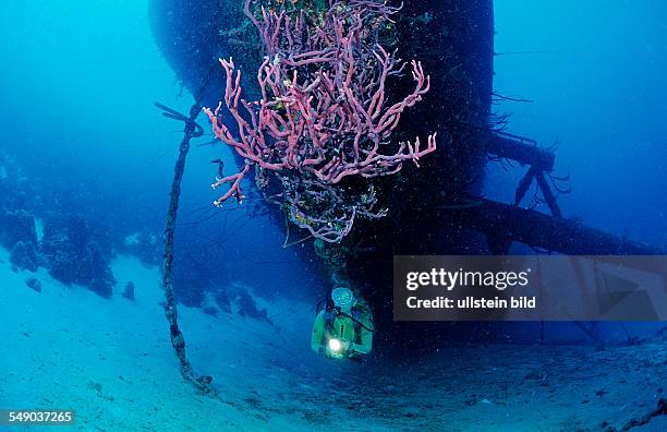 Scuba diver on the Hilma Hooker Ship Wreck, Netherlands Antilles, Bonaire, Caribbean Sea