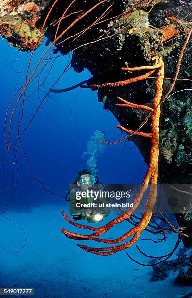 Scuba diver on the Hilma Hooker Ship Wreck, Netherlands Antilles, Bonaire, Caribbean Sea