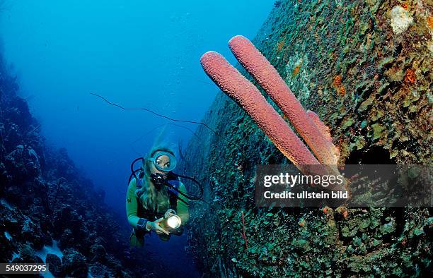 Scuba diver on the Hilma Hooker Ship Wreck, Netherlands Antilles, Bonaire, Caribbean Sea