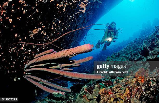 Scuba diver on the Hilma Hooker Ship Wreck, Netherlands Antilles, Bonaire, Caribbean Sea