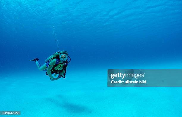 Scuba diver, Netherlands Antilles, Bonaire, Caribbean Sea