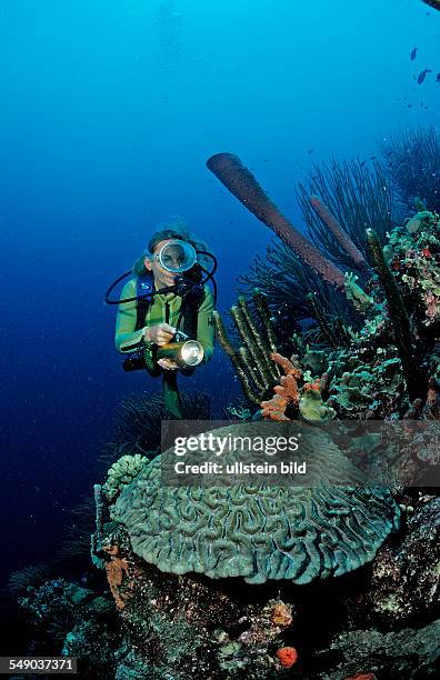 Scuba diver and coral reef, Netherlands Antilles, Bonaire, Caribbean Sea