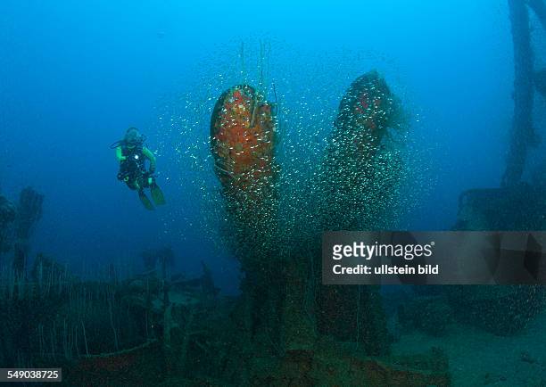 Diver and Torpedos of Destroyer USS Lamson, Marshall Islands, Bikini Atoll, Micronesia, Pacific Ocean