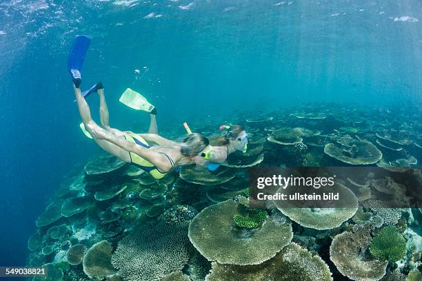 Two Women snorkel over Reef, Ellaidhoo House Reef, North Ari Atoll, Maldives