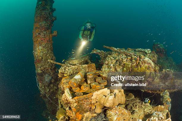 Diver discover armed Munition from II World War at Japanese Warship Helmet Wreck, Micronesia, Palau