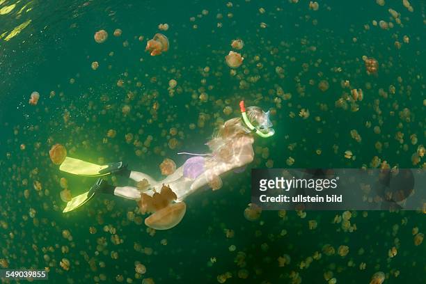Free diving in Jelly Fish Lake, Mastigias papua etpisonii, Jellyfish Lake, Micronesia, Palau