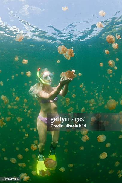 Woman in Jellyfish Lake, Mastigias papua etpisonii, Jellyfish Lake, Micronesia, Palau