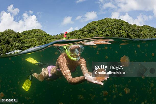 Swimming with Jellyfishes, Mastigias papua etpisonii, Jellyfish Lake, Micronesia, Palau