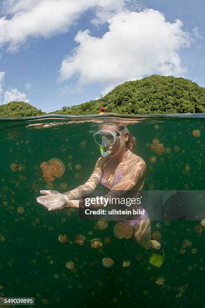 Swimming with Jellyfishes, Mastigias papua etpisonii, Jellyfish Lake, Micronesia, Palau