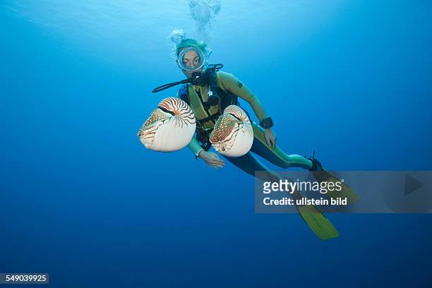 Diver and two Chambered Nautilus, Nautilus belauensis, Micronesia, Palau