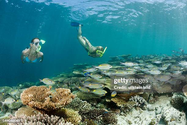 Two Women snorkel over Reef, Ellaidhoo House Reef, North Ari Atoll, Maldives