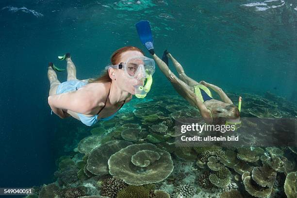 Two Women snorkel over Reef, Ellaidhoo House Reef, North Ari Atoll, Maldives