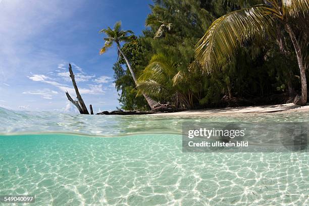 Lagoon and Palm-lined Beach, Micronesia, Palau