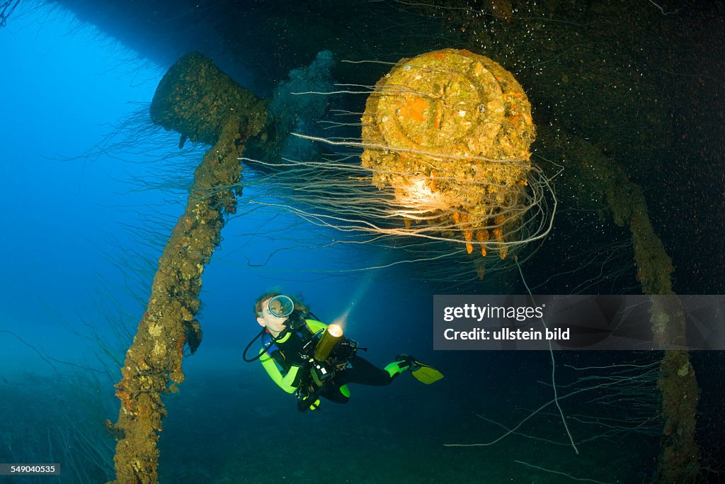 Diver at massive 16-inch 45 Caliber Gun under the HIJMS Nagato Battleship, Marshall Islands, Bikini Atoll, Micronesia, Pacific Ocean