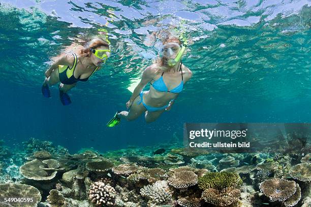 Skin Diving at Maldives, Ellaidhoo House Reef, North Ari Atoll, Maldives