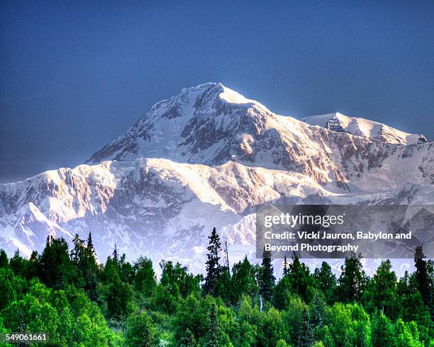 mt mckinley at sunrise - mt mckinley stock pictures, royalty-free photos & images