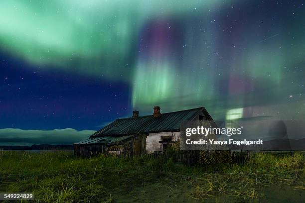 northern lights - murmansk stock pictures, royalty-free photos & images