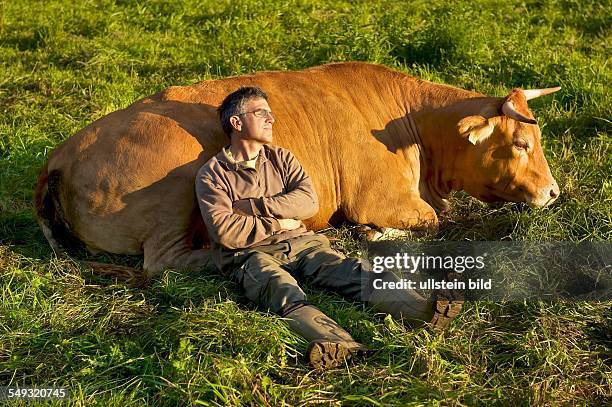 Feierabend auf dem Bauernhof. Der Landwirt mit seinem Lieblingsrind in der Abendsonne auf der Weide