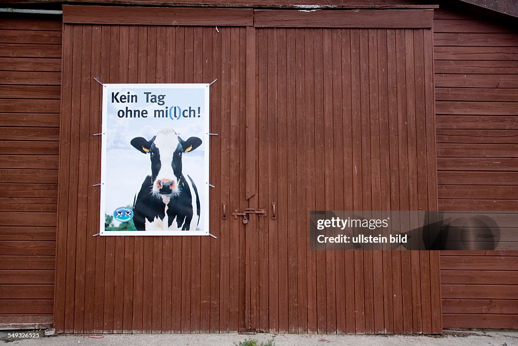 GERMANY, LOWER SAXONY, ECHEM, Cowshed.