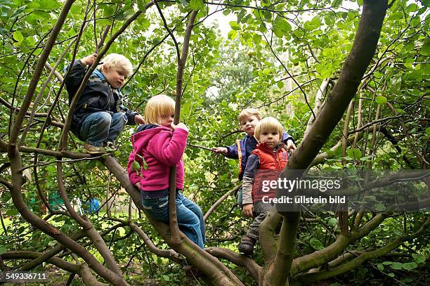 Bauernhof-Kindergarten Wilkenshoff in Hollenstedt Ochtmannsbruch. Bundesweit gibt es etwa zehn Kindergärten, die dauerhaft auf einem...