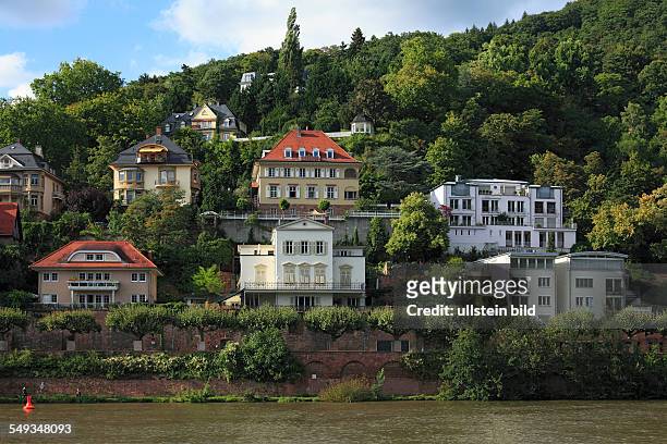 Heidelberg-Neuenheim, river landscape, residential buildings, villas, mountain slope, hillside, forest, trees, Leinpfad, boardwalk