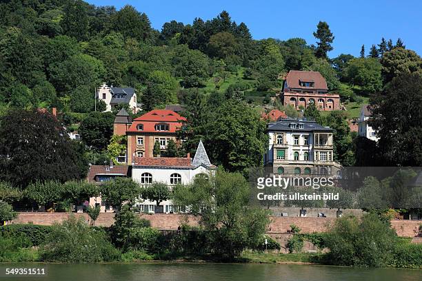 Heidelberg-Neuenheim, river landscape, residential buildings, villas, mountain slope, hillside, forest, trees, Leinpfad, boardwalk