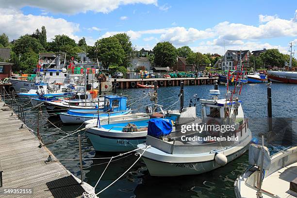 Kieler Foerde, Baltic Sea, Schleswig-Holstein, Heikendorf-Moeltenort, fishing port, marina, fishing boats, fishing cutters