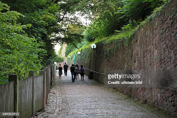 Heidelberg, Burgweg to the Heidelberg castle ruin, Schlossweg, footpath, hiking trail, people, tourists