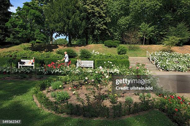 Neuss municipal park, urban park, rose garden