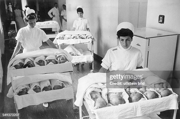 Nurses bring newborn babies from the baby ward