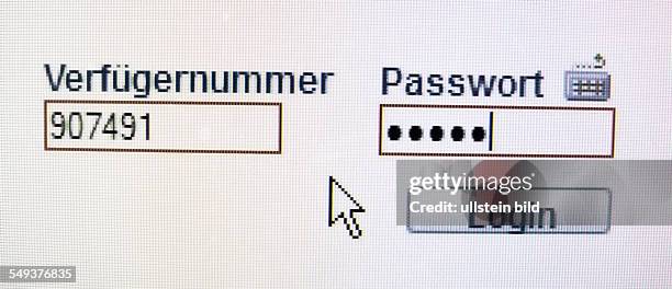 Auf dem Monitor eines Computers wird beim einloggen im online banking das Passwort abgefragt..