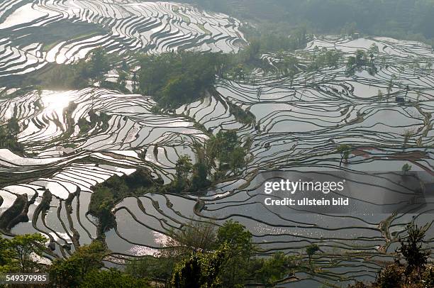 Die Reisterrassen von Yuanyang