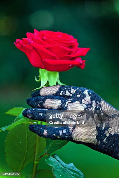 Eine junge, trauernde Witwe mit Rose. Todesfall und Erbschaft.