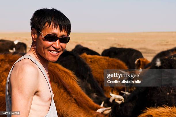 Grasland bei Xilinhot, Mongole mit Kuehen