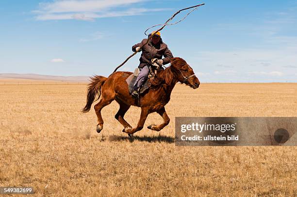 Die Grassteppe Hulun Buir, ein Schafhirte gallopiert auf einem Pferd