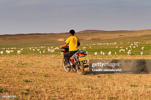 Das Grasland bei Xilinhot, Mongole beim Hueten seiner Schafherde mit dem Motorrad