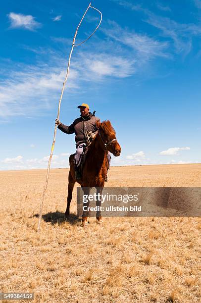 Die Grassteppe Hulun Buir mit einem Schafhirten auf einem Pferd