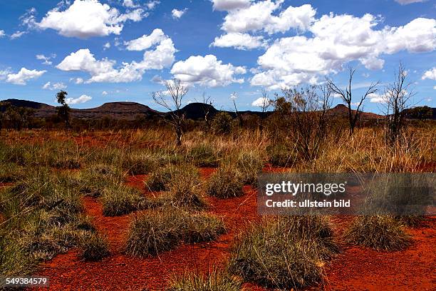 Red soil and blue sky, Australian outback landscape, Karijini National Park, Pilbara, Western Australia