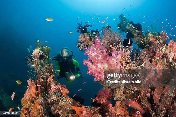 Scuba Diver at Liberty Wreck, Tulamben, Bali, Indonesia