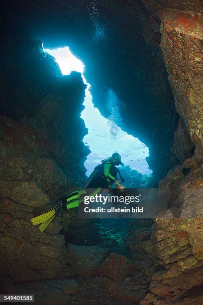 Diver at Caves of Lava Tubes, Cathedrals of Lanai, Maui, Hawaii, USA