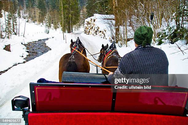 Pferdeschlitten von zwei Pferden gezogen im Schnee