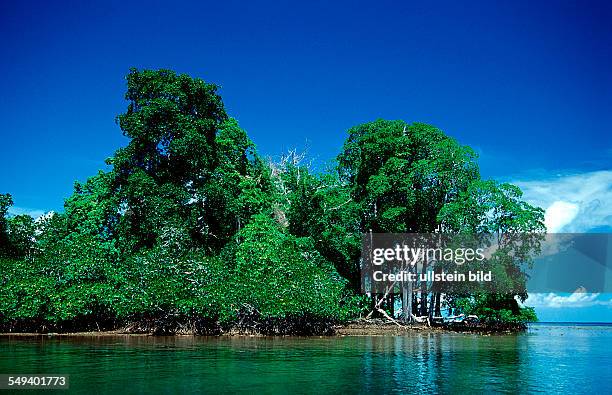 Mangroves island, Papua New Guinea, Neu Irland, New Ireland