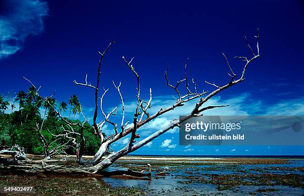 Mangroves island, Papua New Guinea, Neu Irland, New Ireland