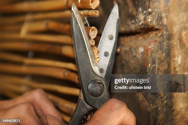 Germany, NRW, Hattingen: A half-timbered house gets completely new renovated. Fixing reeds mats onto walls. The reeds mats serve as carrier material...