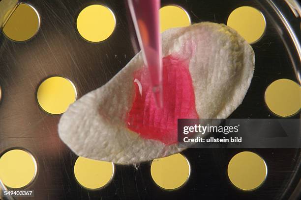 Deutsches Zentrum fuer Biomaterialien und Organersatz / Institut fuer Verfahrenstechnik Denkendorf Oberflaechenbesiedlung eines kuenstlichen Organs...