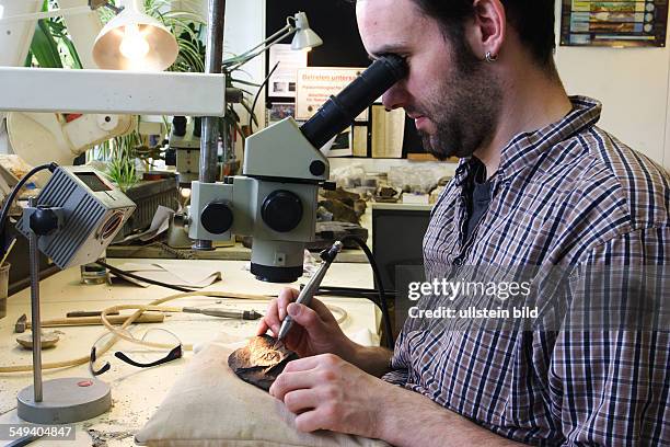 Germany, NRW, Muenster: Westphalian Museum for Natural History. An employee prepares a find, Limulidae Euproops, by using an air pressure chisel.